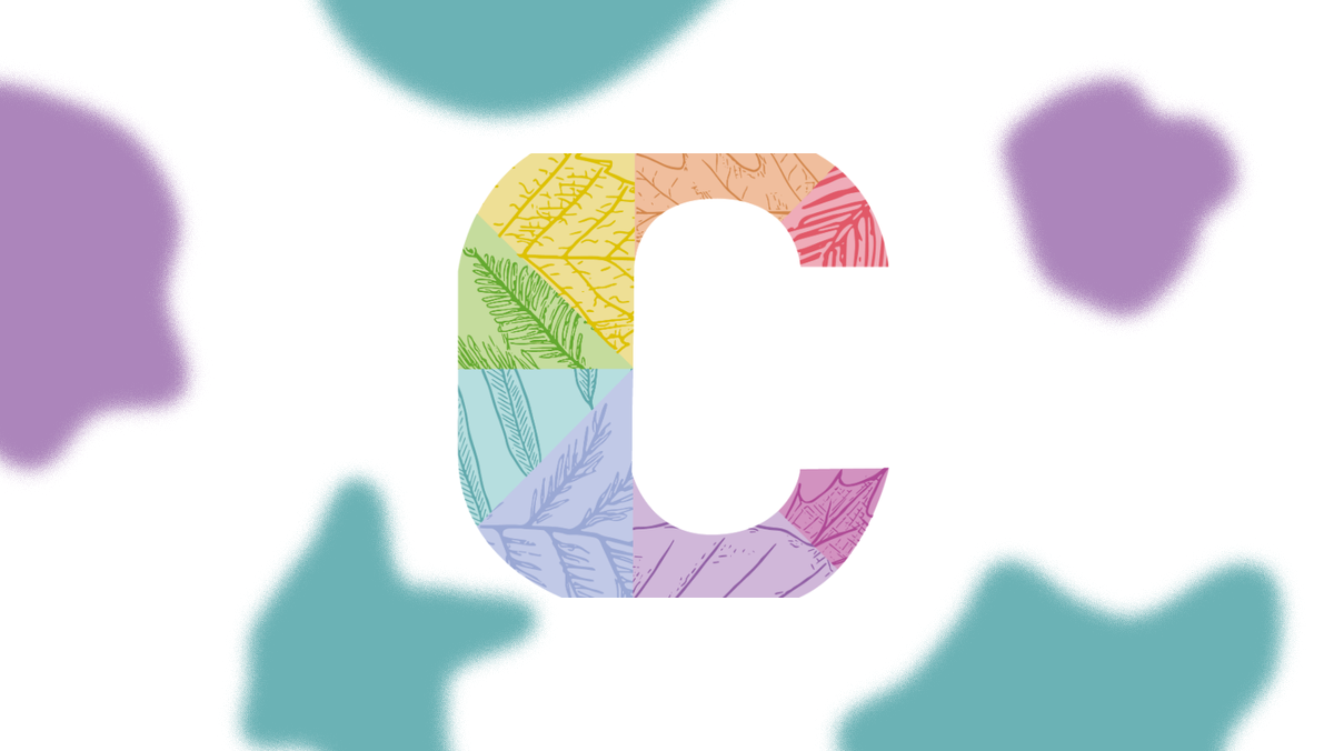 Chestnuts Primary School's customer story with MagicBooking 